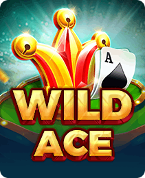 Wild Ace slot game on B9 Game